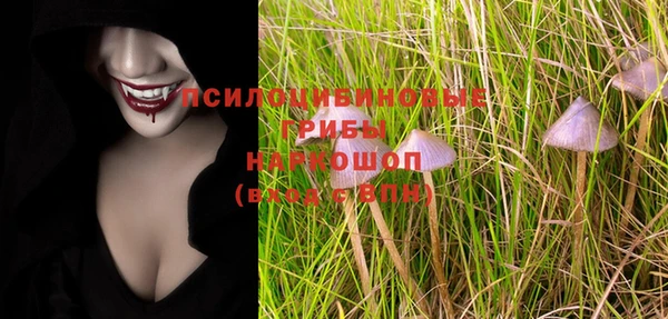 ГАЛЛЮЦИНОГЕННЫЕ ГРИБЫ Семилуки