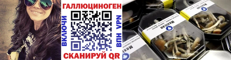 купить закладку  Бирюч  Псилоцибиновые грибы Psilocybine cubensis 